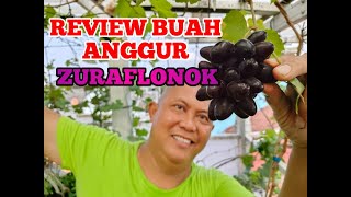 REVIEW BUAH ANGGUR VARIETAS ZURAFLONOK amp KUPIDON ZURAFLONOK tipsandtricks review kaij kupidon [upl. by Latreese]