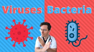 Bacteria vs viruses  What are the differences  Doctor Explains [upl. by Nairb]