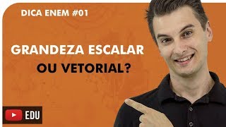 DIFERENÇA ENTRE GRANDEZA ESCALAR E VETORIAL  DICA ENEM  Prof Rafael I Bioexplica [upl. by Juliano]