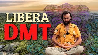 Respiración para Inducir DMT Natural  Pranayama Avanzado  Meditación para Abrir el Tercer Ojo👁️ [upl. by Ylurt]