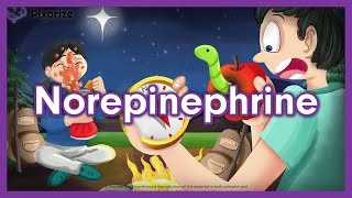 Norepinephrine Mnemonic for NCLEX  Nursing Pharmacology [upl. by Brittani]