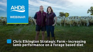 AHDB BampL Chris Elkington Strategic Farm  Increasing lamb performance on a forage based diet [upl. by Lenra727]