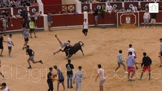 Vaquillas Feria de Albacete 2024 14 de septiembre [upl. by Kirrad]