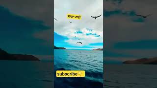 ਦਾਣਾ ਪਾਣੀ subscribe viralshort ytshorts trendingshort wmk [upl. by Bast]