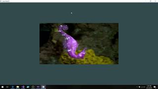 OpenGL Setup Step 7 STB IMAGE H for Textures Visual Studio 2019 RC [upl. by Nitsud]