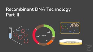 Recombinant DNA Technology PartII [upl. by Ahsieyk]