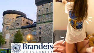 first week at Brandeis University  sophomore studies [upl. by Hymen485]