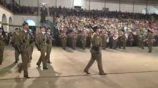 Falla Fuerzas Armadas y Guardia Civil 2014 [upl. by Arebma280]