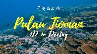 Pulau Tioman 4D3N  刁曼島 4D3N 之旅  Fun Dive With Friends [upl. by Euell]