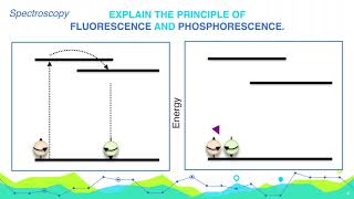 Explain the principle of Fluorescence and Phosphorescence  Analytical Chemistry [upl. by Balbinder82]