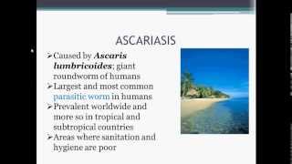 Parasitology Ascariasis Ascaris lumbricoides [upl. by Harmaning]