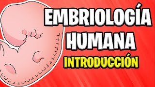 ✅ INTRODUCCIÓN A LA EMBRIOLOGÍA HUMANA  Conceptos Básicos 📚 [upl. by Hsirehc]