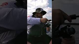 Walleye fishing walleye kayakfishing kayak walleyefishing walleyes fish fishingvideo [upl. by Fredela]