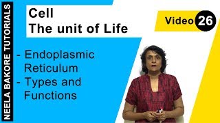 Cell  The Unit of Life  NEET  Endoplasmic Reticulum  Types and Functions  Neela Bakore Tutorial [upl. by Rebmac69]