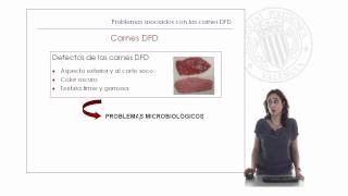 Carnes PSE y DFD   UPV [upl. by Acinoed]