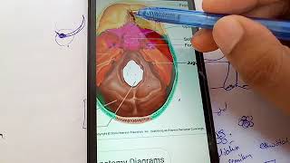 PARANASAL AIR SINUSES now made soo easy part 2 [upl. by Pelletier]