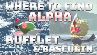 How to get ALPHA HISUIAN RUFFLETBRAVIARY amp ALPHA BASCULINBASCULEGION in Pokémon Legends Arceus [upl. by Amisoc]