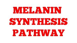 Melanin synthesis pathway  Phenylalanine Metabolism  Part2  Biochemistry [upl. by Nednarb]