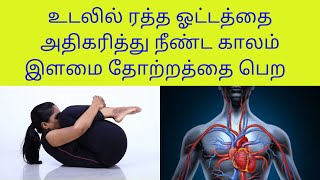 Yoga For Full Body Blood Circulation And Anti Ageing in Tamil By DrLakshmi Andiappan [upl. by Retseh821]