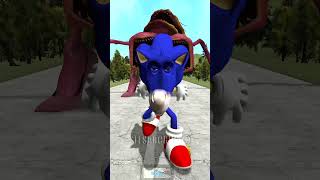 OMG  AMY ROSE MONSTERS TAPES CURSED VS EVOLUTION SONIC HYDRA TAPES BATTLE in Gmod  sonictapes [upl. by Onibla]