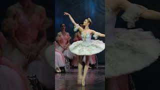 classical Russian ballet The Nutcracker [upl. by Pietro]