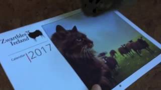 Cat Shepherd 2017 Calendar [upl. by Aiel]