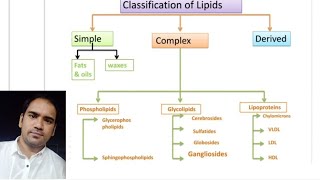 Lipids classification in Biochemistry  Simple lipids ll Complex lipids ll Derived lipids [upl. by Mian189]