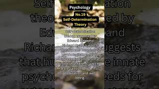 Self Determination Theory [upl. by Johannah]