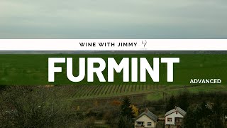 Grape Varieties  Furmint Advanced Version ideal for WSET L3 and 4 [upl. by Assirim]