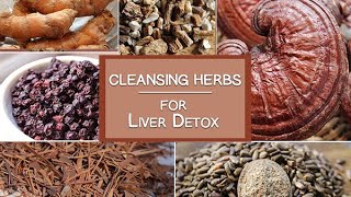 Cleansing Herbs for the Liver and More  Healing Herbs for Detoxification [upl. by Azaria408]