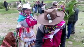 Carnavales Yanque Colca Arequipa 2018 [upl. by Dlaregztif207]