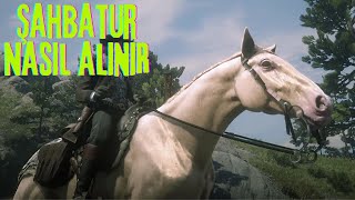 ŞAHBATUR ALTIN AT NASIL ALINIR BUELL HORSE  Red Dead Redemption 2 Türkçe [upl. by Mikel]