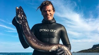 Catch and Cook Conger Eel  Spearfishing England United Kingdom [upl. by Penn388]