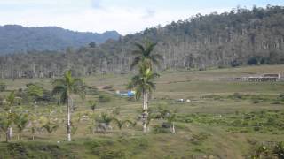 Aterrizaje de helicóptero en Moravia de Chirripó Costa Rica [upl. by Euqinomad]