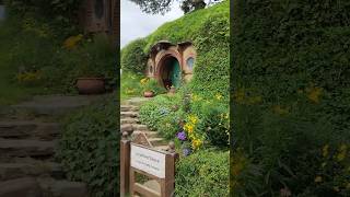 Hobbiton Tour in New Zealand shorts [upl. by Ita]