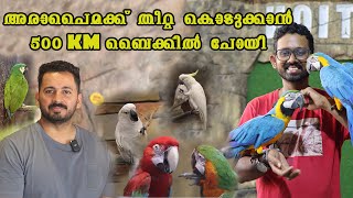 petsന്‍റെ കൊട്ടാരത്തിലേക്ക് ഒരു യാത്ര  Ft Petstation Kannur [upl. by Glennie]