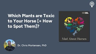 Which Plants are Toxic to Your Horse  How to Spot Them [upl. by Emlin]