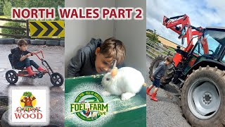 Fun Day Trips to Foel Farm Park and Gypsy Wood  Wales Holiday 2023 [upl. by Evod]