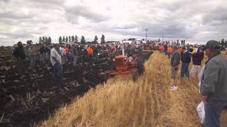 2013 Orange Spectacular Allis Chalmers CA Plowing [upl. by Aicemaj]