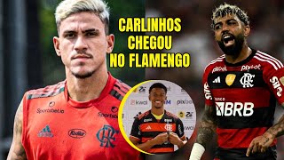 Carlinhos no Flamengo disputa com Gabigol e Pedro [upl. by Laise]