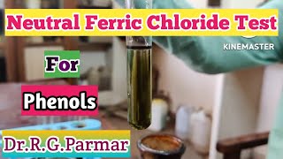 Ferric Chloride Test for Phenols  Neutral FeCl3 test [upl. by Pavkovic]