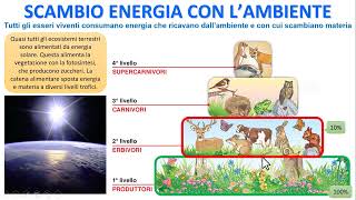 SCAMBIO ENERGETICO DELLA VITA CON LAMBIENTE [upl. by Macdougall]