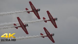 AeroShell Aerobatic Team 2023 [upl. by Sims]