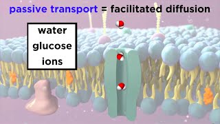 CELL TRANSPORT PASSIVE AND ACTIVE [upl. by Gilbye]