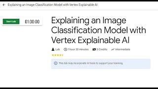 Explaining an Image Classification Model with Vertex Explainable AI [upl. by Timmons]