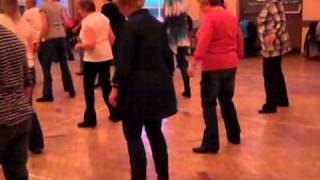 Blue Rose Is Beginner Line Dance [upl. by Ivek572]