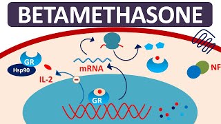 Betamethasone  Mechanism precautions side effects amp uses [upl. by Rhody178]