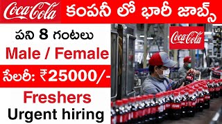 CocaCola లో భారీ జాబ్స్  Job Vacancy 2021  Coca Cola Jobs for freshers  Jobs [upl. by Yasui]