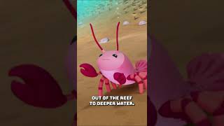 Octonauts  The Big Underwater Storm 🌊🌪️  Underwater Sea Education  shorts [upl. by Oile]