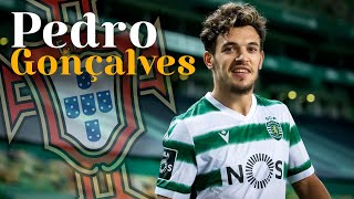 Pedro Gonçalves GOALS  Sporting 2023  Ultimate Skills Assists amp Goals  HD [upl. by Jordan]